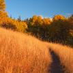 Wasatch Crest